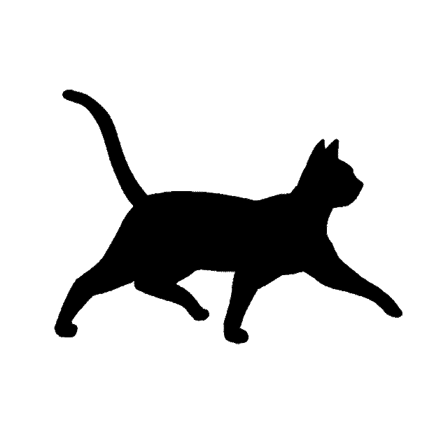 黑森林小猫